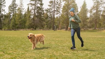 Complément alimentaire pour chien