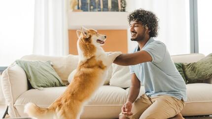 Comment montrer à son chien qu'on l'aime : le guide
