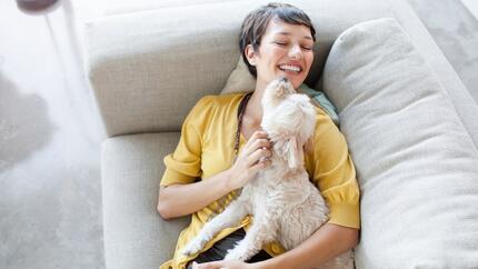 Chien calme et affectueux : les races les plus tendres