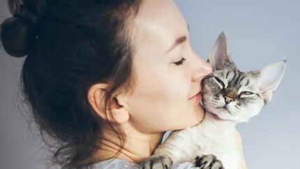 Prénom pour chat mâle : idées, conseils et inspirations pour bien choisir