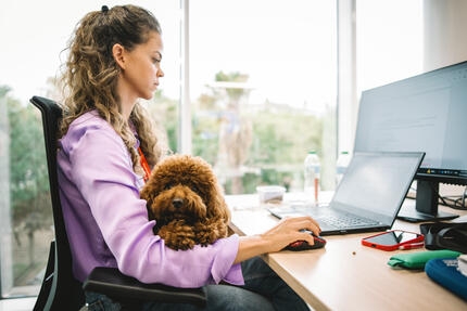 femme travaillant au bureau avec son chien