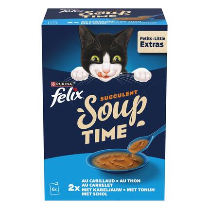 Felix SOUP Succulent