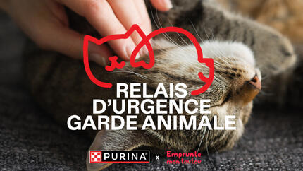 Bénéficiez d'une garde animale solidaire en cas d'urgence