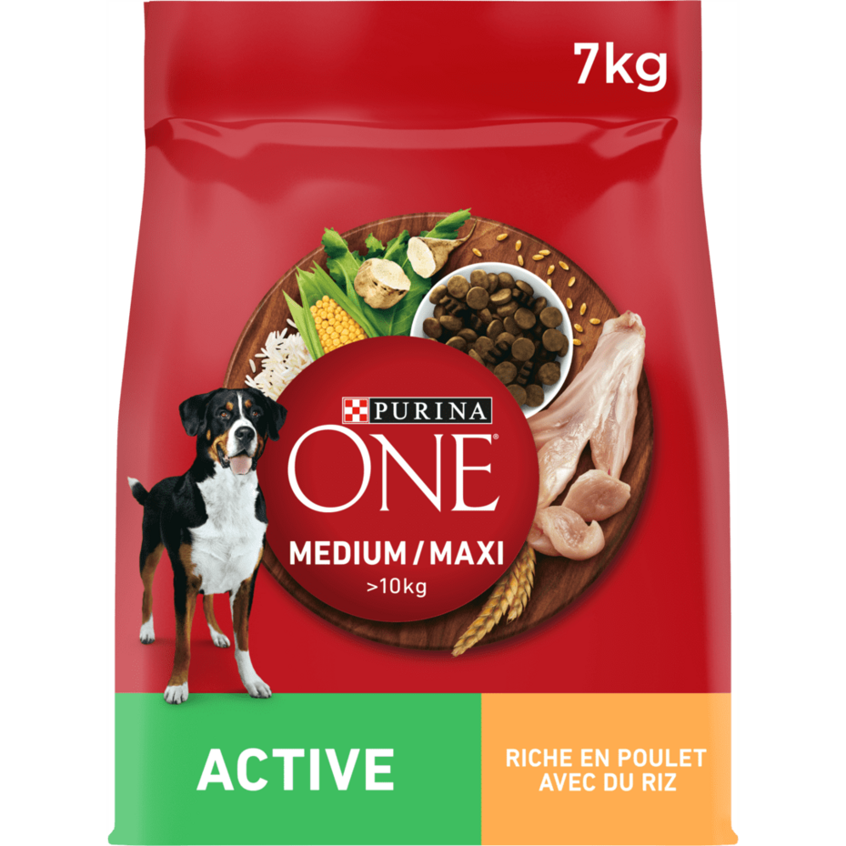 Purina® ONE® MEDIUM MAXI > 10kg Active, Croquettes pour chien actif Riche en Poulet avec du Riz -