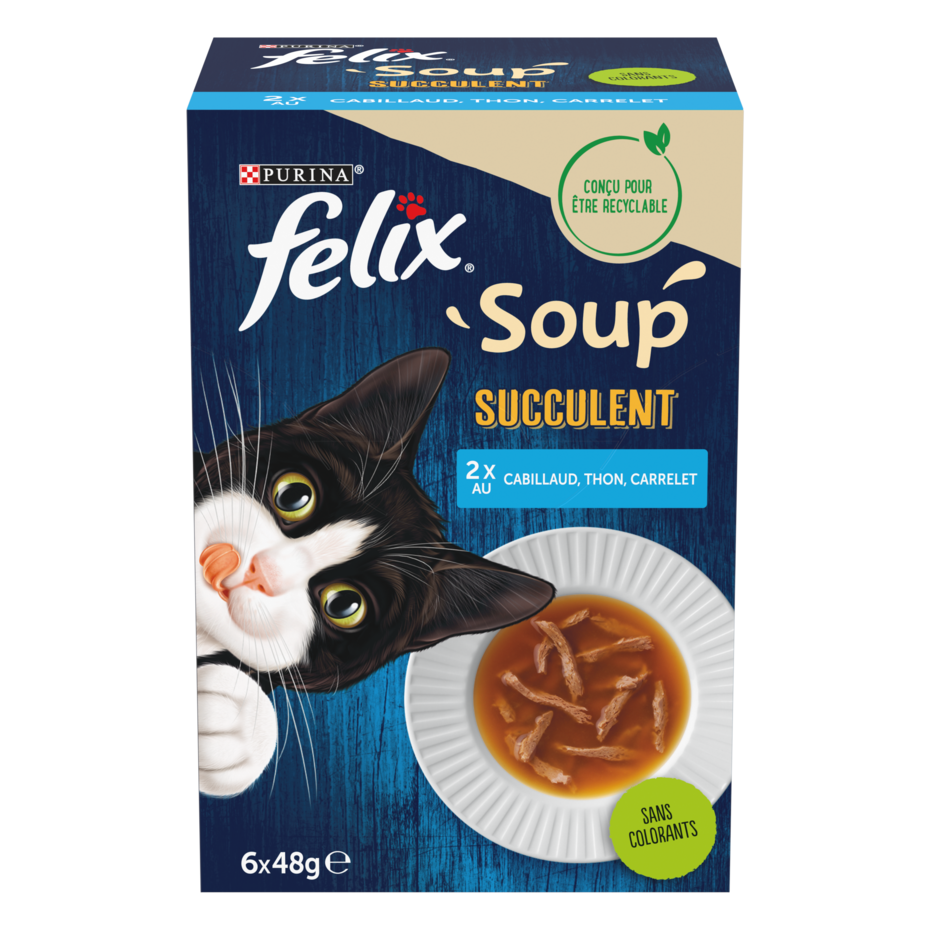 Felix SOUP Succulent