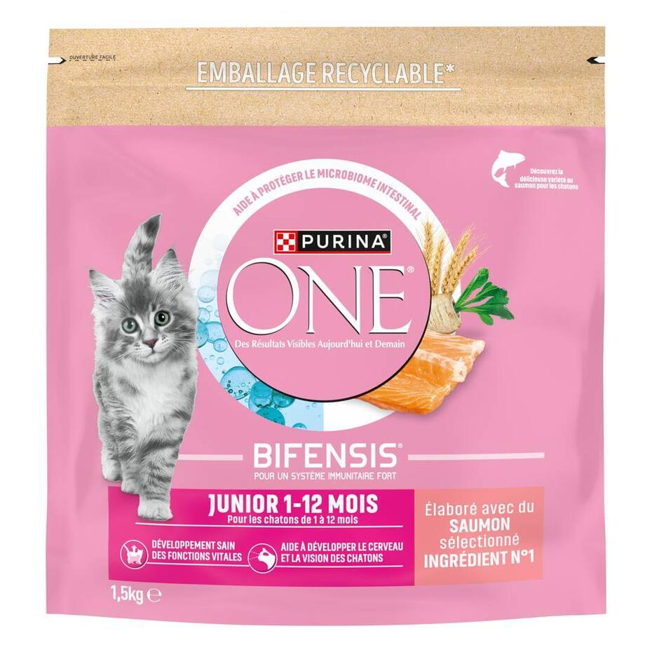 Purina ONE® - Croquettes Junior pour Chaton de 1 à 12 mois au Saumon