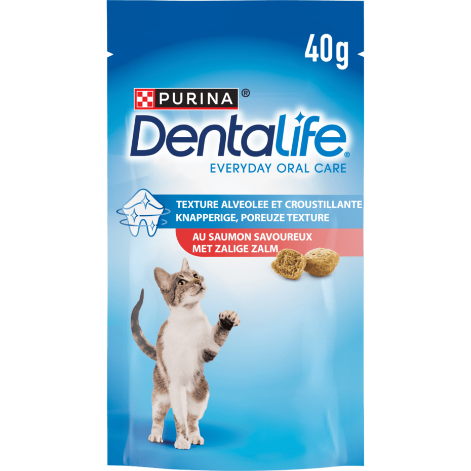 PURINA® DENTALIFE® Chat au Saumon Savoureux