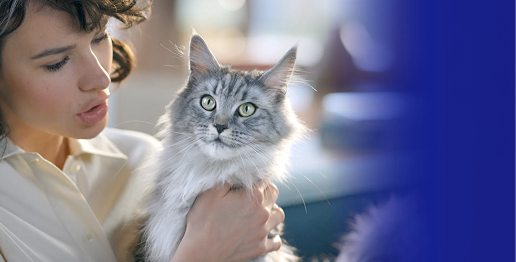 Purina One banner