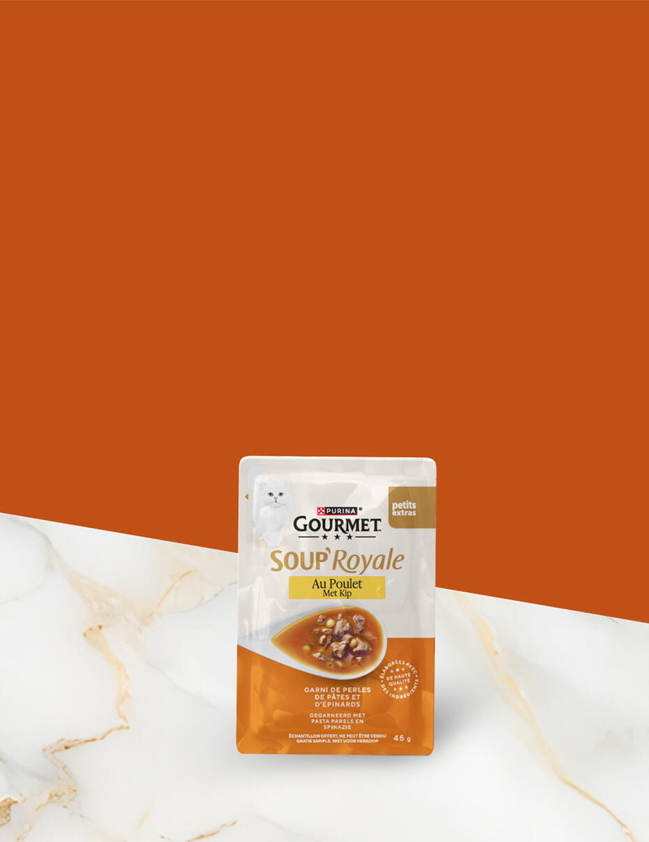 Gourmet Soup Royale