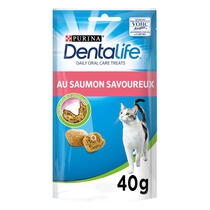 PURINA® DENTALIFE® Chat au Saumon Savoureux