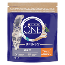 Purina ONE® - Croquettes pour Chat Adulte au Poulet et aux Céréales