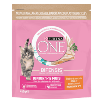 Purina ONE® - Croquettes Junior pour Chaton de 1 à 12 mois au Poulet