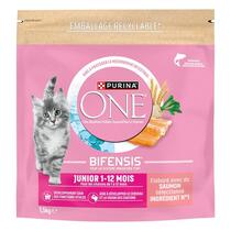 Purina ONE® - Croquettes Junior pour Chaton de 1 à 12 mois au Saumon