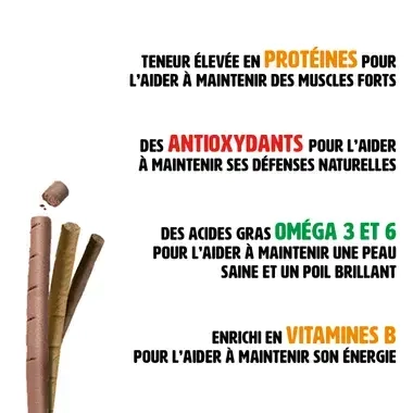 Friandise chien picnic festival caracteristique
