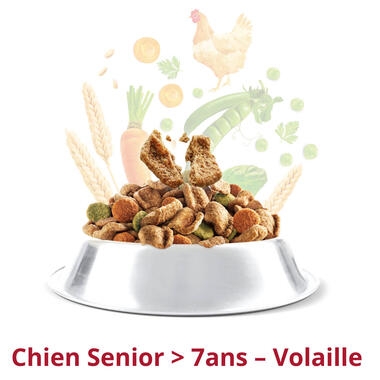 FIDO CROQ’ MIX Senior À la Volaille & aux Légumes Croquettes pour Chien