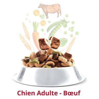 FIDO CROQ’ MIX Adulte Au Bœuf & aux Légumes Croquettes pour Chien