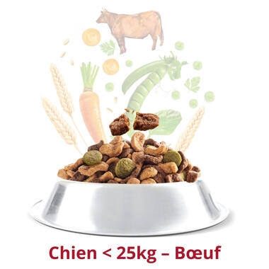 FIDO CROQ’ MIX Chiens -25Kg Au Bœuf & aux Légumes Croquettes pour Chien
