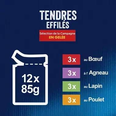 FELIX Tendres Effilés Sélection de la Campagne Recettes