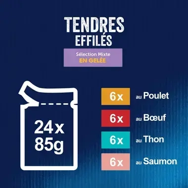 FELIX Tendres Effilés Sélection Mixte Recettes