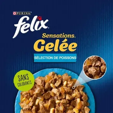 FELIX Tendres Effilés Sélection de Poissons