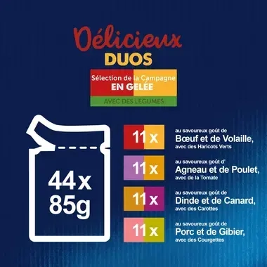 PATEE CHAT FELIX TENDRE EFFLILES CAMPAGNE MAXI RECETTES