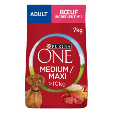 PURINA ONE® Medium / Maxi > 10kg Adult Riche en Bœuf avec du Riz - Croquettes pour chien