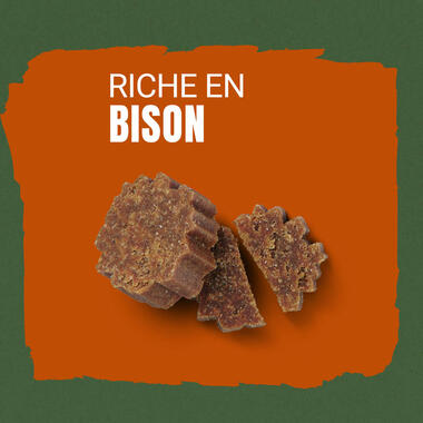 AdVENTuROS™ riche en Bison, avec céréale ancienne et super-aliments - Friandises pour Chien