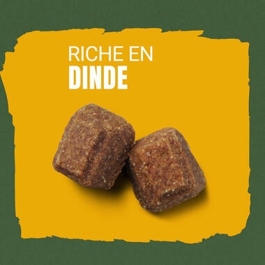 AdVENTuROS™ riche en Dinde, avec céréale ancienne et super-aliments - Friandises pour Chien