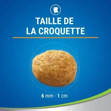 PURINA® DENTALIFE® Chat au Poulet Savoureux