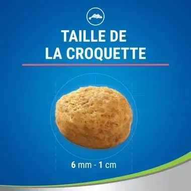 PURINA® DENTALIFE® Chat au Saumon Savoureux