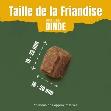 AdVENTuROS™ riche en Dinde, avec céréale ancienne et super-aliments - Friandises pour Chien
