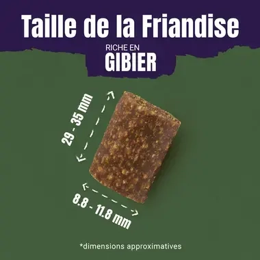 AdVENTuROS™ riche en Gibier, avec céréale ancienne et super-aliments - Friandises pour Chien