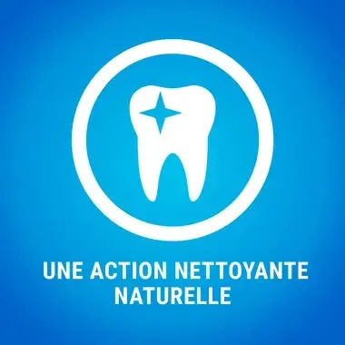 PURINA® DENTALIFE® Très Petit Chien (2-7kg)