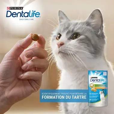 PURINA® DENTALIFE® Chat au Poulet Savoureux