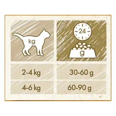 PURINA CAT CHOW® ADULT - Croquettes pour chats adultes