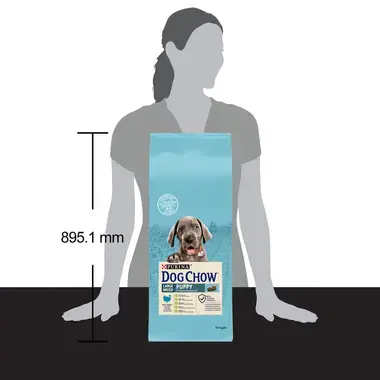 DOG CHOW® Large Breed Puppy (jusqu'à 2 ans)- Croquettes pour chiot à la Dinde