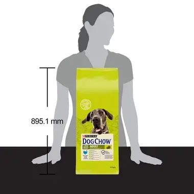 DOG CHOW® Large Breed Adult (2 ans et +) - Croquettes pour chien à la Dinde