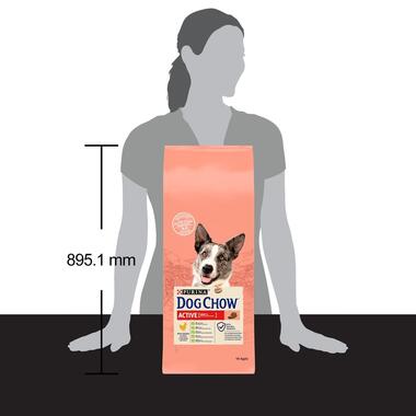 DOG CHOW® Active Adult (1 an et + ) - Croquettes pour chien au Poulet