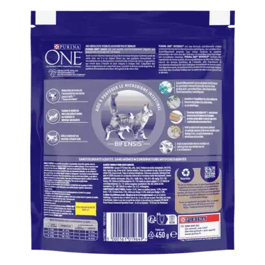 Purina ONE® - Croquettes pour Chat Adulte au Saumon et aux Céréales