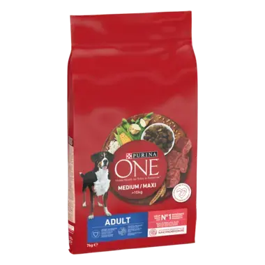PURINA ONE® Medium / Maxi > 10kg Adult Riche en Bœuf avec du Riz - Croquettes pour chien