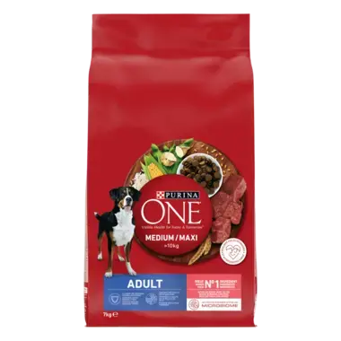 PURINA ONE® Medium / Maxi > 10kg Adult Riche en Bœuf avec du Riz - Croquettes pour chien