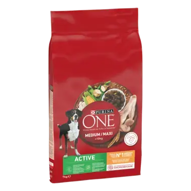 PURINA ONE® MEDIUM MAXI > 10kg Active, Croquettes pour chien actif Riche en Poulet avec du Riz -