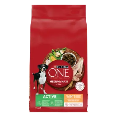 PURINA ONE® MEDIUM MAXI > 10kg Active, Croquettes pour chien actif Riche en Poulet avec du Riz -