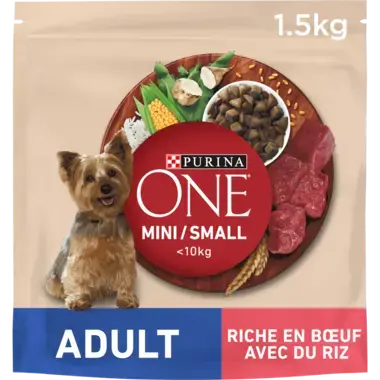 PURINA ONE® MINI/SMALL < 10kg Adult Riche en Bœuf avec du riz - Croquettes pour petit chien adulte