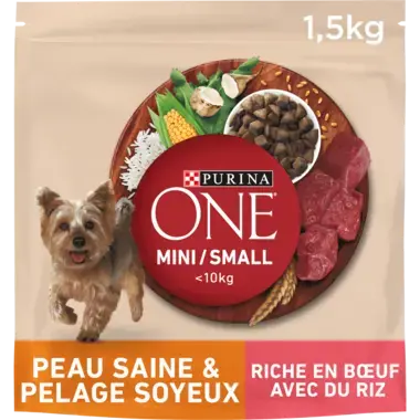 PURINA ONE® MINI/SMALL < 10kg Peau saine & Pelage soyeux Riche en Bœuf avec du riz - Croquettes pour petit chien Bienfaits