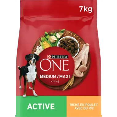 PURINA ONE® MEDIUM MAXI > 10kg Active, Croquettes pour chien actif Riche en Poulet avec du Riz -