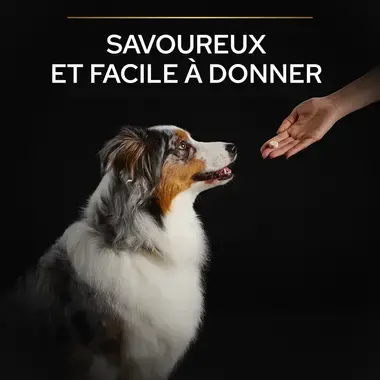 PRO PLAN® Natural Defences + Chien