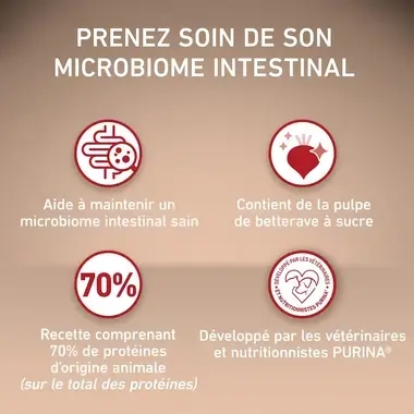 PURINA ONE® MINI/SMALL < 10kg Croquettes pour petit chien adulte Riche en Bœuf avec du riz