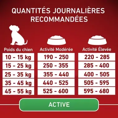 PURINA ONE® MEDIUM MAXI > 10kg Active, Croquettes pour chien actif Riche en Poulet avec du Riz