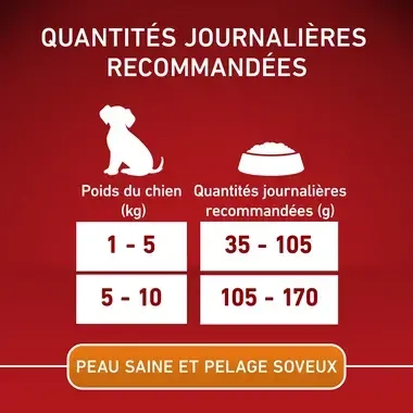 PURINA ONE® MINI/SMALL < 10kg Croquettes pour petit chien Peau saine & Pelage soyeux Riche en Bœuf avec du riz